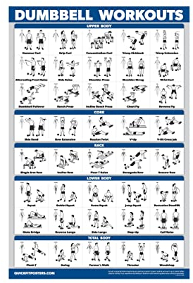 Palace Learning Übungsposter mit Hanteltraining, kostenloser Gewichts-Trainingsanleitung (evtl. nicht in deutscher Sprache), laminiert, 45,7 x 61 cm