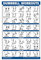 Palace Learning Übungsposter mit Hanteltraining, kostenloser Gewichts-Trainingsanleitung (evtl. nicht in deutscher Sprache), laminiert, 45,7 x 61 cm