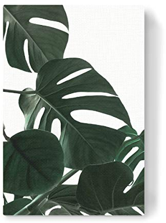 artboxONE Leinwand 30x20 cm Typografie Natural Monstera von Emanuela Carratoni