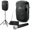 Ibiza Enceinte Amplifiée 300W, Microphone Noir