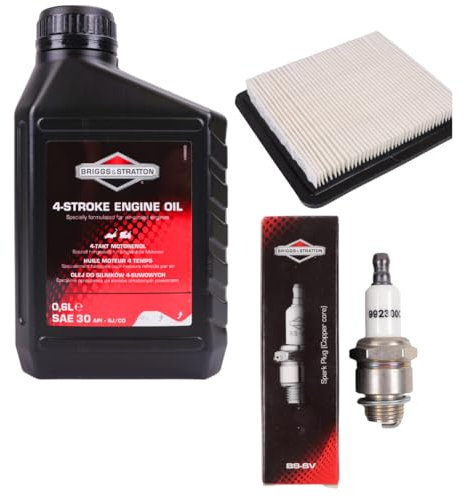 Wartungsset für Rasenmäher BRIGGS&STRATTON Quantum 625, 650, 675 5-6 PS B&S 0,6L 10W 30