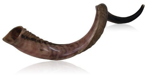 Halb-polierte Oberfläche Jemenitischen Kudu Horn Shofar