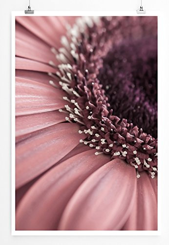 Eau Zone Bilder - Naturbilder – Blume in Altrosa- Leinwand Kunstdrucke Wandbilder aus Deutschland