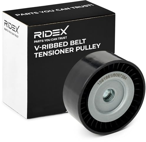 RIDEX 310T0036 Spannrolle Keilrippenriemen Kompatibel mit FIAT Ducato Kastenwagen 250, 290 1117008 1611423780 5751F1