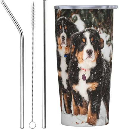 EgoMed Reisebecher, 20 Unzen Edelstahl-Isolierbecher, Kaffeetasse, Autotasse, Reiseflasche, lustiger Berner Sennenhund