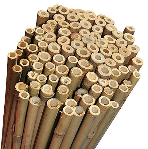 Elixir Gardens Strong Heavy Duty Professional Bamboo Plant Support Garden Canes | All lengths in stock 2, 3, 4, 5, 6, 7 & 8ft | Choose from a range of pack sizes from 10 to 250 | 8ft x 10