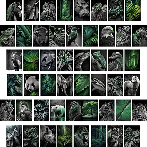 50 ästhetisches Bild für Wandcollage, Wandkunst Collage Kit, Flur Deko, Schwarz Weiß Grün, Tiere, Wildnis, Dschungel, Wald. für Zimmer, Schlafsaal, Foto Display, VSCO Wall Poster für Schlafzimmer.