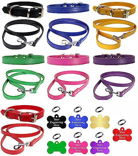Vibrant Hundehalsband und Leine, Kombi-Set aus Leder, für Welpen, Hunde, klein, mittel und groß, mit personalisierbarer Gravur, buntes Knochenmarke, Größe S (27 cm – 33 cm Hals), Rot