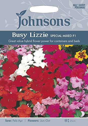Johnsons 13323 Flower Seeds, Busy Lizzie Special Mixed F1