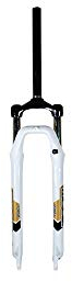 Motodak - Forcella MTB 29 Zoom 565 DMS Bianco 1 1/8 Ahead Set deb. 100 mm Alluminio Disco PM