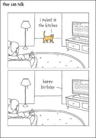 Illustrated Humorous Male/Female Birthday Card from The They Can Talk Range - Cat, I Puked in The Kitchen - Greeting Card for Him/for Her (WDM-448935)
