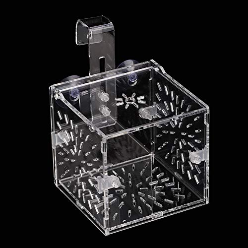 Fabater Boîte d'élevage de Poissons Non Toxiques de Conception d'aspiration, boîtes d'éclosion d'aquarium écologiques suspendues, pour bébé Poissons bébé(10CM*10CM*10CM)