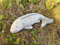 Koi Carp Fish Stone Garden Statue | Outdoor Animal Fishing Angling Gift Ornament