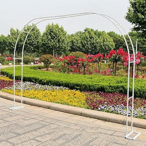 YOXALL Weiss Rosenbogen Metall Hochzeit Torbogen Verzinkt Gartenbogen Rankhilfe Rankgitter Hochzeitsbogen wetterfest Deko Garten Innenraum (Color : Weiß, Size : B300 x H220cm)