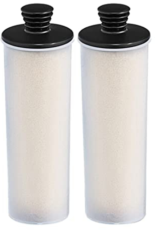 ICECHEN 2 PièCes Cartouche de Nettoyeur Vapeur Bâton de DéTartrage pour SC3 Series 3 Easyfix/SC3MX/SC3 127V Filtre de DéTartrage