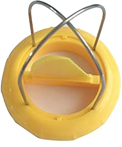 Mini coupe-kiwi pour fruits et kiwi - Outils d'épluchage pour kiwi (jaune)