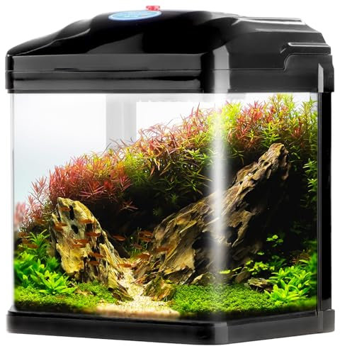Pika-Pika AQUAKIDS - Aquarium 4L SCHWARZ Geschenk für Baby Spielzeug Set Aquarium für Kämpfer, was Spielzeug für Baby