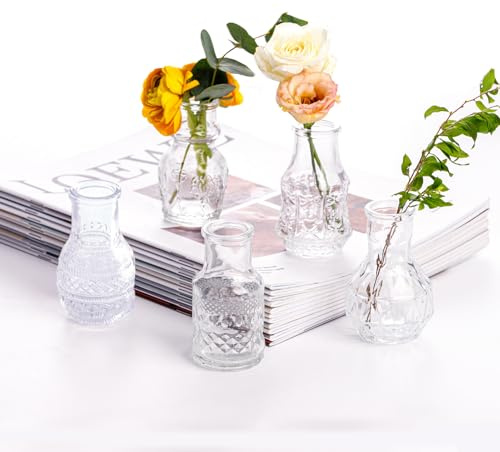 EylKoi Glas Bud Vasen Mini Transparente Vasen Fünf 5Pcs Blumen Niedlich Vintage Kleines Glas Winzig Masse Verschiedene Form Modernes Set Schön für Dekor Tisch Hochzeit Home Tisch Dinning Party