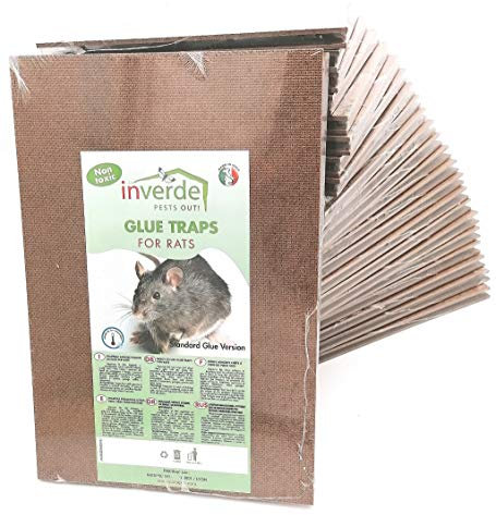 Plaques de glu en bois anti souris anti rat lot de 24x2 (soit 48 pièces)