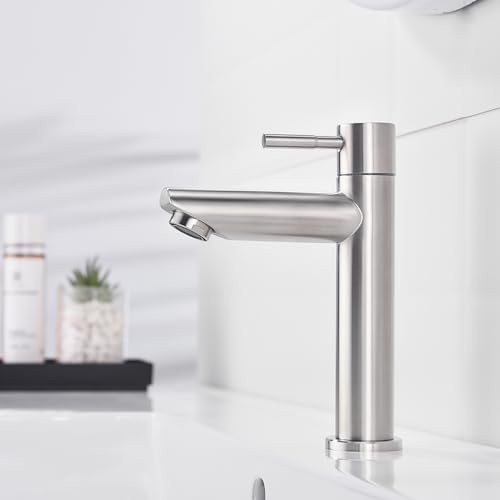 Decaura Kaltwasserhahn Gäste WC Wasserhahn Bad nur Kaltwasser Einhebelmischer Waschbecken Armatur Waschtischarmatur Edelstahl Gebürstet