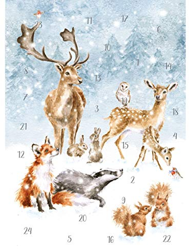 Wrendale Designs by Hannah Dale – A Winter Wonderland – Adventskalenderkarte – 158 x 210 mm