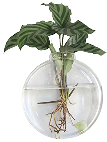 DEDEMCO Maceta de cristal para colgar en la pared, 16 x 15 cm, estación de propagación colgante, jarrón de pared para plantas hidropónicas, decoración del hogar, A4
