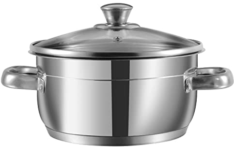 Nobel Stainless Steel Two Tone Casserole with Glass Vented Lid Heat Resistant Short Handles, Ideal for All Hobs. (24 cm Diameter - 5.0 Litre)