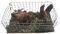 BLUSUPERSHOP 2 Kunststofftiere auf dem Foto im Gehege 10 x 5 cm hoch 5 cm Art6 Hoftiere für Hirten 7 10 cm Krippe auch Schweine Hühner Hahn Gänse Ziegen Schafe etc