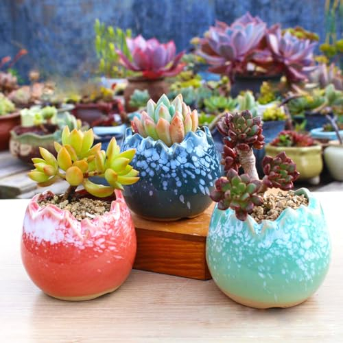 ROSE CREATE 3 Stück 7,6 cm Eierschalentöpfe, Ostereier, kleine Keramik-Sukkulenten, Bonsai-Töpfe mit einem Loch, 3 Stück (bunte Eierschalen)