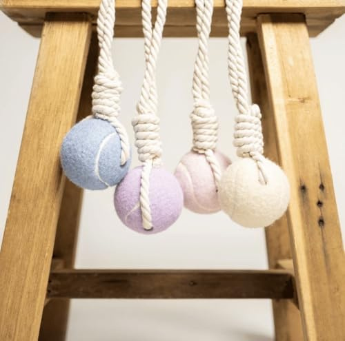 Wauzebacke Hundespielzeug, Tennisball mit Seil 32cm in verschiedenen Pastellfarben, interaktives Wurf- und Zerrspielzeug, Zahnpflege, langlebig (Mint)