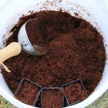 Fibra di Cocco Naturale per Piante – Substrato Ecologico e Biodegradabile – Ottimo per Orti, Giardinaggio e Coltivazione Idroponica – Disponibile nei formati 3L, 5L, 10L, 20L (3 LITRI)