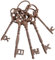 Fallen Fruits DB63 Large Cast Iron Key - Brown, Brown