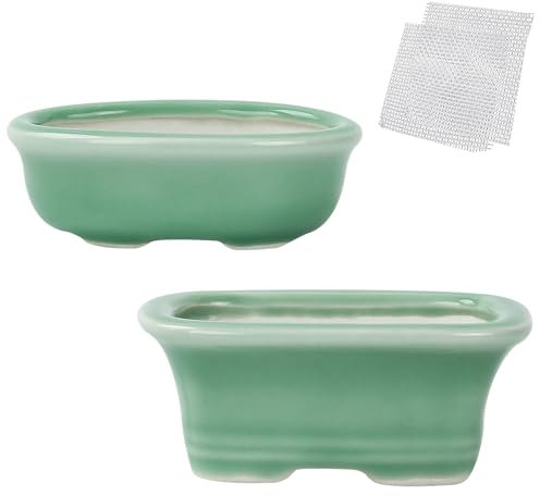 Maceta bonsái para suculentas de 9 a 10 cm, juego de 2 mini macetas verdes