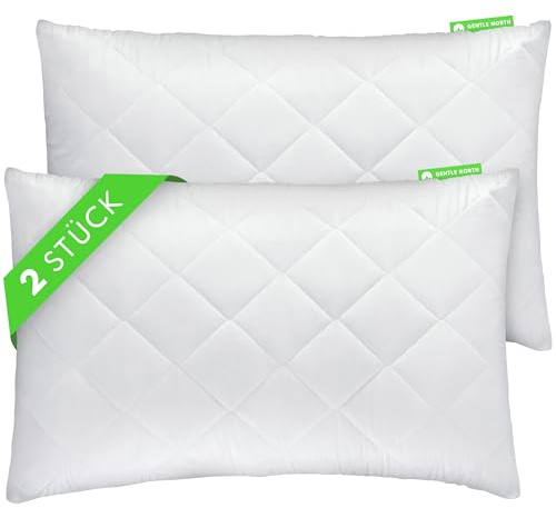 Gentle North Lot de 2 oreillers (30x50 cm Gros) - pour lit et comme Coussin canape décoratif - avec Fermeture éclair pour Le Rembourrage - Coussin de canapé - Lavable jusqu'à 60 °C, Certifié Öko-Tex
