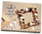 House Of Crafts Shell Craft Mini Kit, Single Craft Kit Set, Multicoloured, Includes Selection of Sea Shells, MDF Frame, PVA Adhesive, Varnish, Brush, Instructions