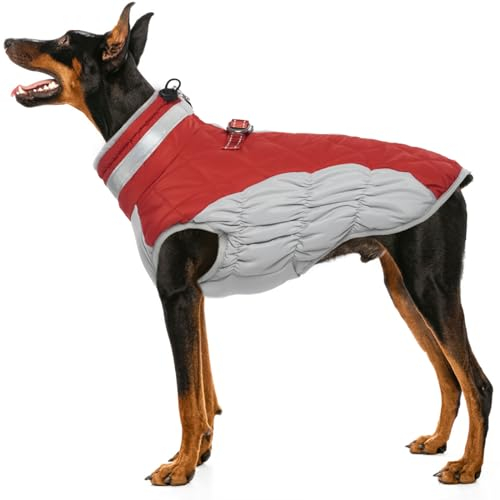 Hjumarayan Hundemantel für Kleine, Mittelgroße und Große Hunde - Winter Warme Wasserdichte Hundejacke Gefüttert, Outdoor Mantel für Labrador (Rot XXXL)