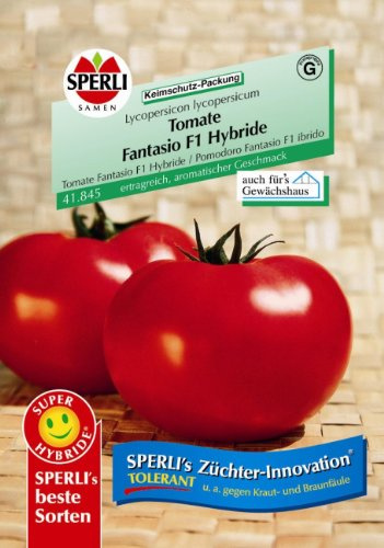 Tomate Fantasio F1 Hybride