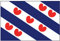 Talamex Flagge SB Friesland 30x45cm