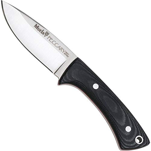 Muela Cuchillo PECCARY-8M hoja de acero MoVa de 8 cm y empuñadura de micarta negra para Caza, Pesca, Supervivencia y Bushcraft Realizado en Ciudad Real + Portabotellas de regalo