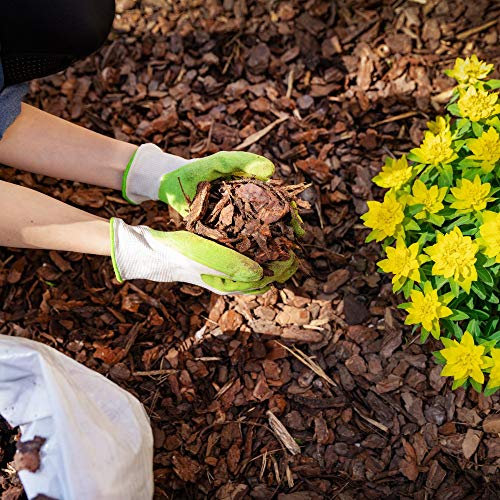 Bark Ground Cover Beds Borders Containers Ideal for Adding a Professional Touch to your Garden 2 x 80 Litre Bales of Decorative Bark by Thompson and Morgan