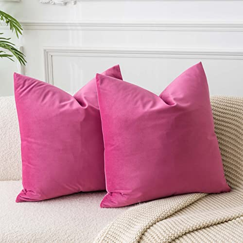 JUSPURBET Housses de Coussin en Velours Rouge Rosé 65x65 cm Lot de 2 pour Salon Canapé Chambre Carrées Solides Douces avec Zip Invisible