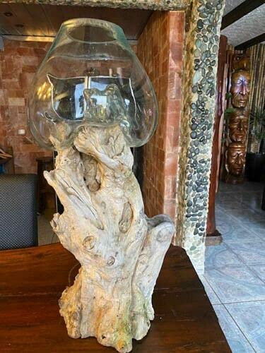 Original Little Big Horn Gigante Design Vase Wurzelholz Glasvase Unikat Glasvase Gigante Root Glass vase