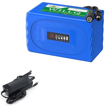 WILLQ 24-V-Lithium-Akku, wiederaufladbarer 25,2-Volt-Lithium-Ionen-Akku 24V 3000mAh 10000mAh Ersatzakku (Ladegerät und LED-Leistungsanzeige optional),with Charger,10Ah Light