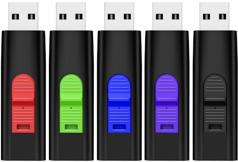 TEWENE Clé USB 4Go Lot de 5 Cles USB 2.0 Flash Drive, 5 Couleurs | Comprend une lanière, Conception à bouton-poussoir-tirer, facile à transporter et largement compatible