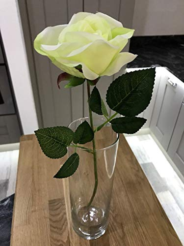 Best Artificial 45cm Single Rose Silk Flower Stem Wedding Home Garden Arrangement (1, White/Green)