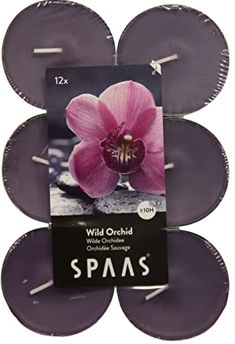 Spaas 12 Maxi Bougies Chauffe-Plats parfumées, ± 10 Heures - Wild Orchid, Aubergine
