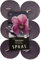 Spaas Scented Tealights, Hours 12 Maxi Teelichter, ± 10 Stunden-Wild Orchid, Paraffinwachs, Aubergine, D 58 mm x H 24 mm