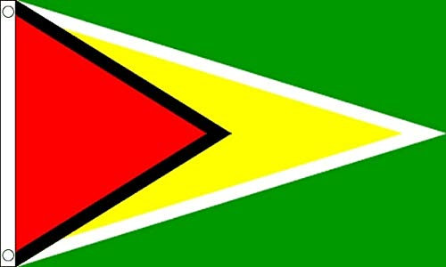 FlagSuperstore Drapeau Guyane 100% Polyester avec œillets 152 x 91 cm