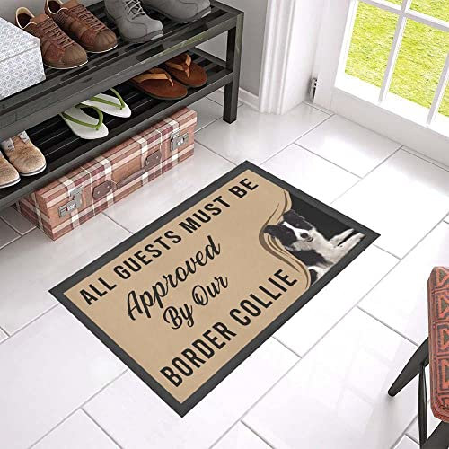 Door Mat Indoor Entrance Porch Welcome Funny Flannel Floor Mat Gift for Dog Lovers Approved by Border Collie Doormat Home Decor Home Decor Housewarming Decor 23.6x15.7 Inch