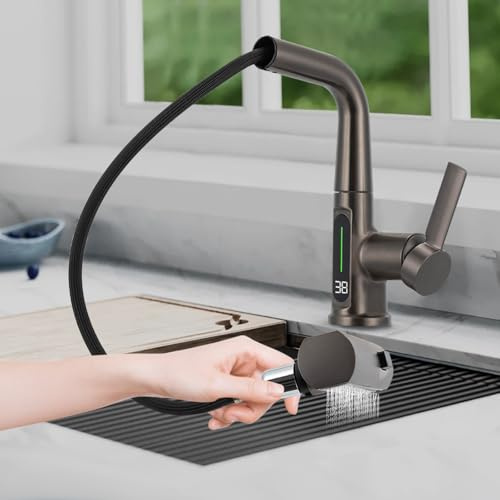 Wasserhahn Küche Ausziehbar, 2 Strahlarte Küchenarmatur Niederdruck Armatur Mischbatterie Küche Spülarmaturen mit Herausziehbarer Brause & schwenkbarem Auslauf